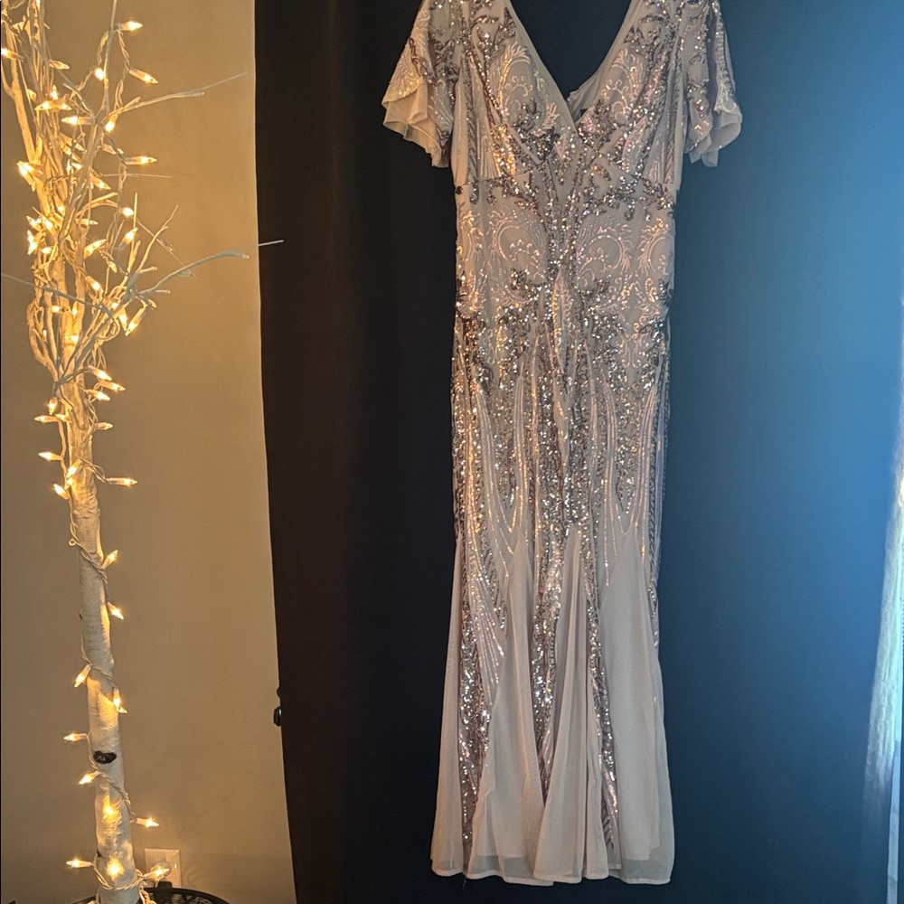 R&M Richards  and beige and sequence Embellished Gown